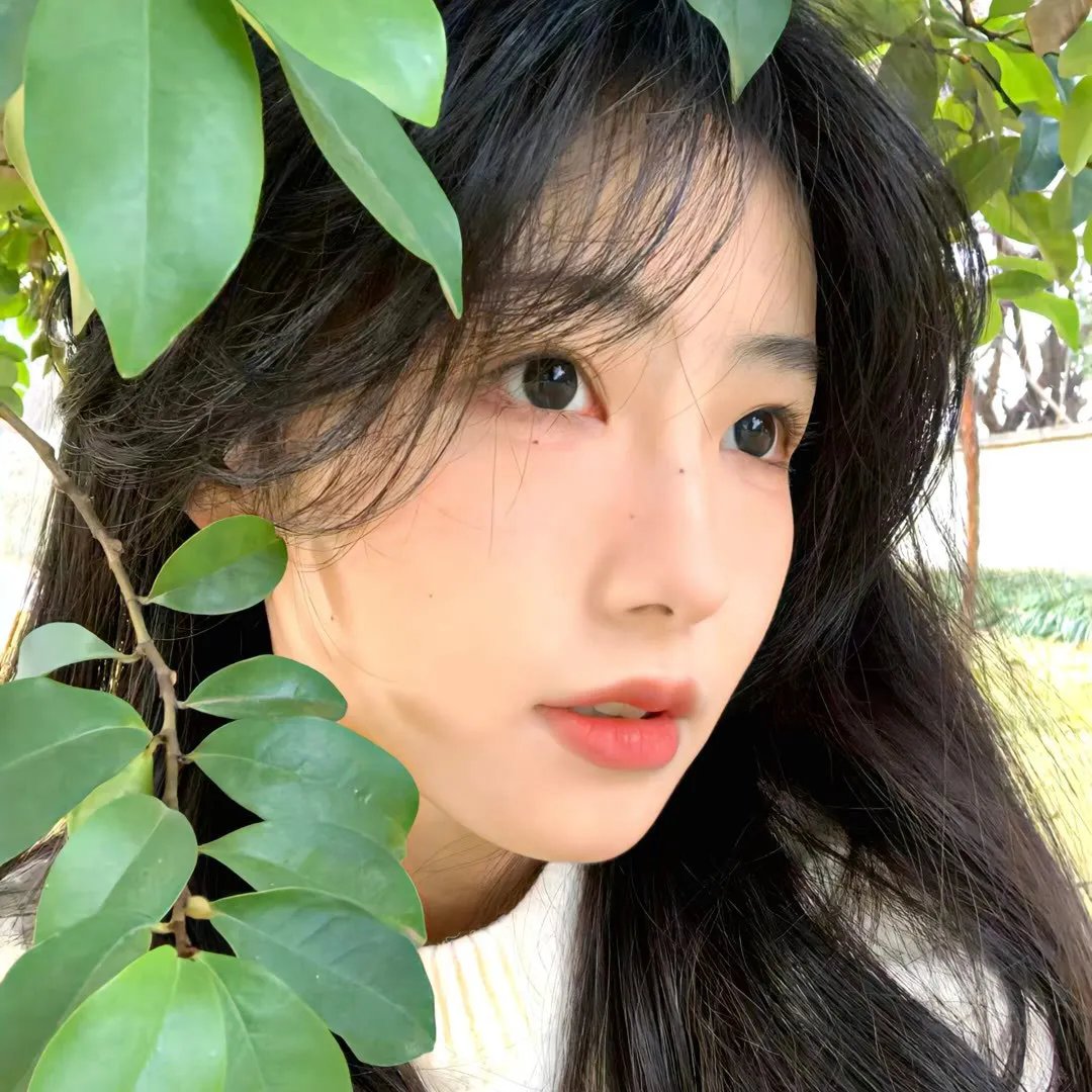 直面脂肪